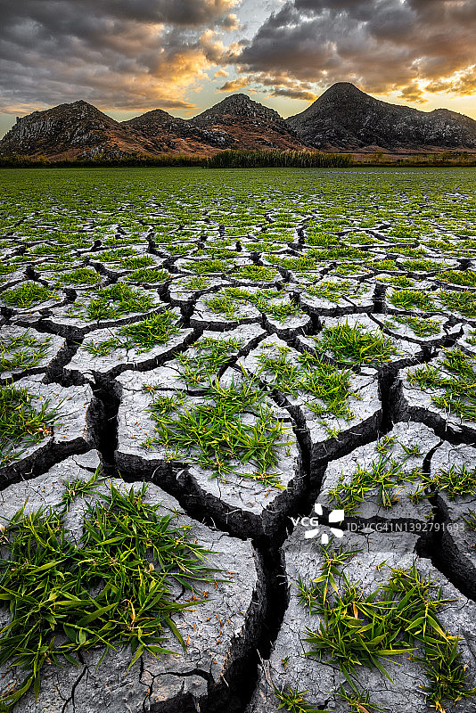 黑社会3图片素材