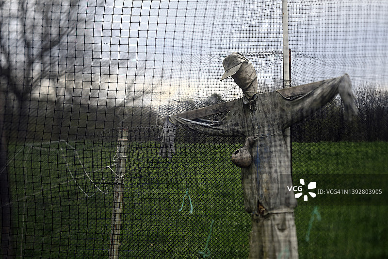 稻草人图片素材
