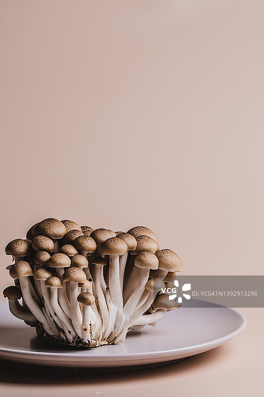 新鲜的姬菇图片素材