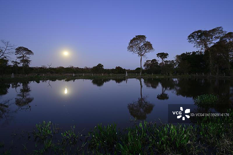 巴西马托格罗索潘塔纳尔湿地池塘中的满月倒影图片素材