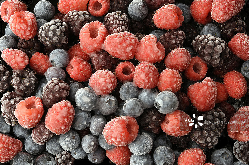 覆盆子、黑莓和蓝莓图片素材