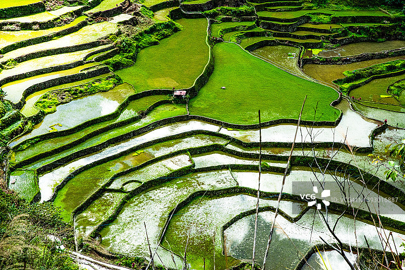 菲律宾伊富高巴塔德梯田的保护图片素材