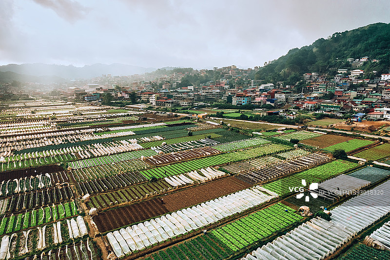 菲律宾碧瑶市蔬菜农场无人机航拍图片素材