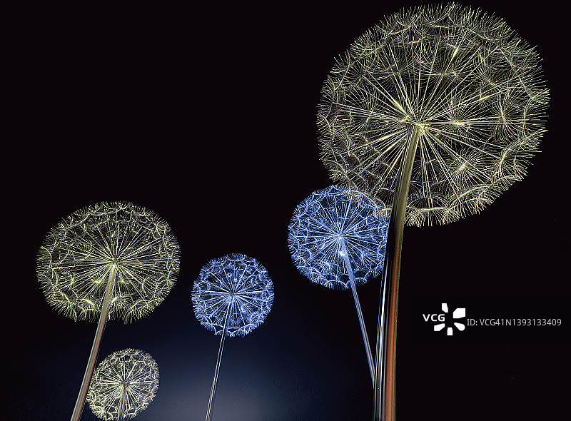 带电的蒲公英图片素材