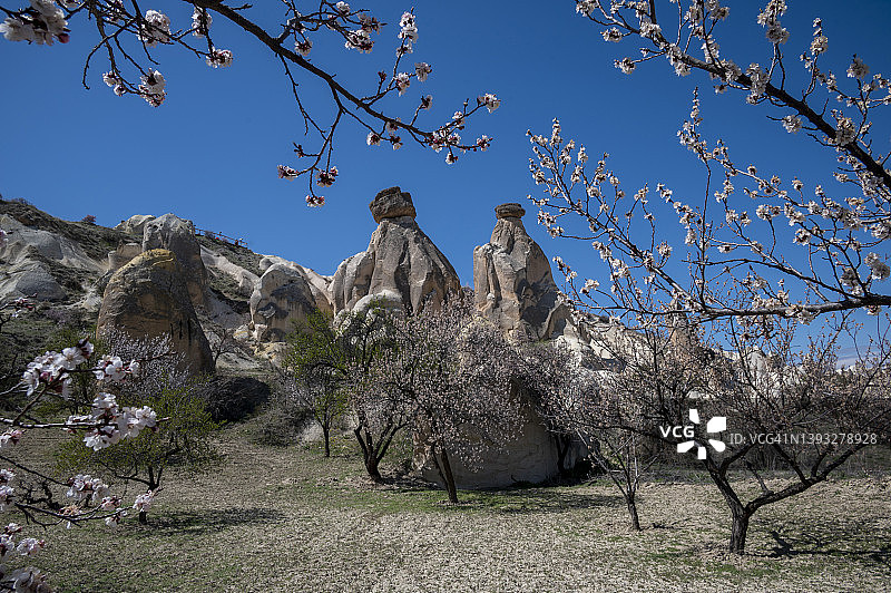 卡帕多奇亚的春天图片素材