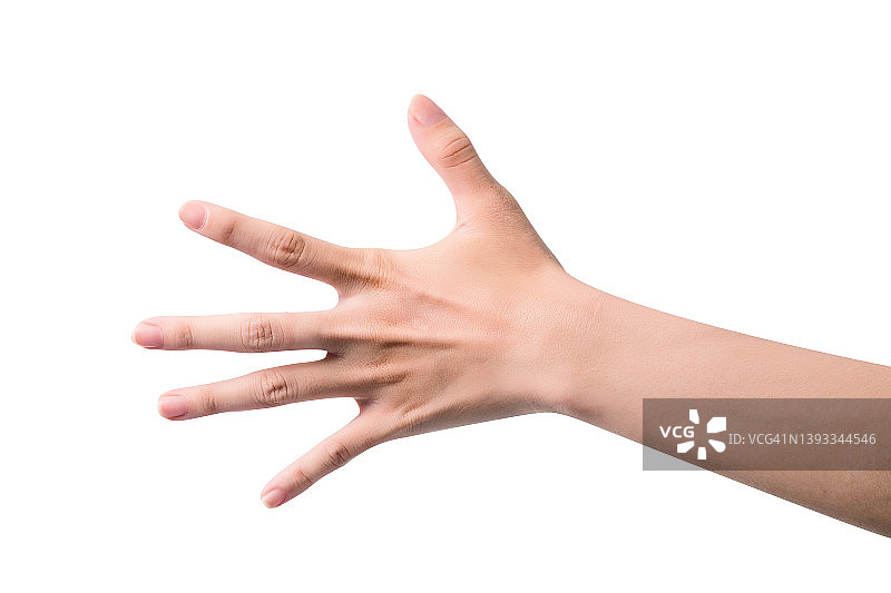 白色背景上孤立的空掌图片素材
