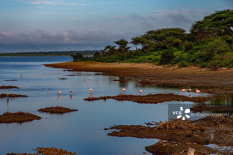 坦桑尼亚恩戈罗恩戈罗的马塞克湖图片素材