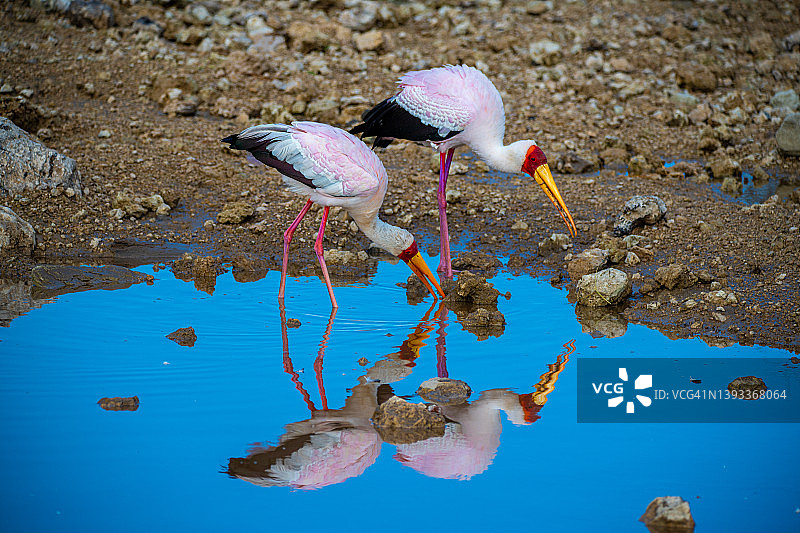坦桑尼亚恩戈罗恩戈罗马塞克湖营地日出景色图片素材