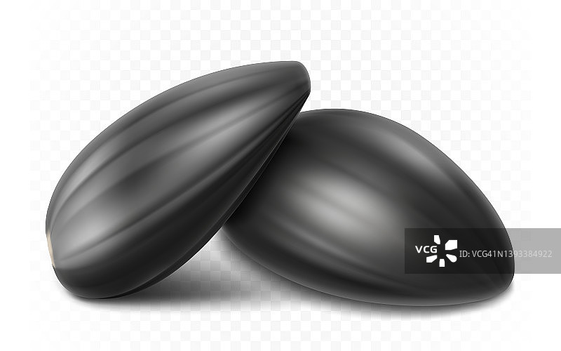 成熟的葵花籽，细节逼真的3D矢量图。隔离在白色背景上，特写图片素材