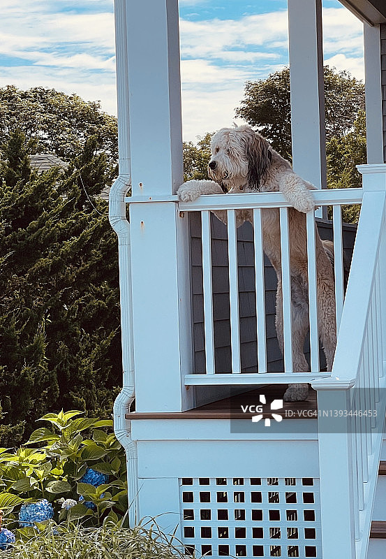 等待朋友图片素材