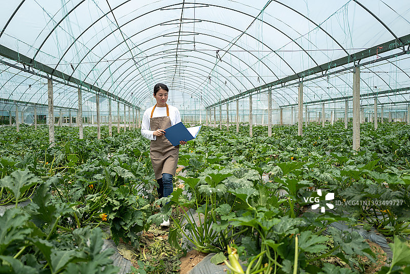 现代农业年轻女农民图片素材