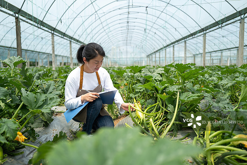 现代农业年轻女农民图片素材