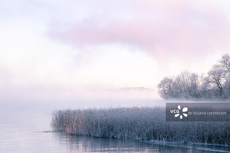 湖边雾蒙蒙的冬日早晨图片素材