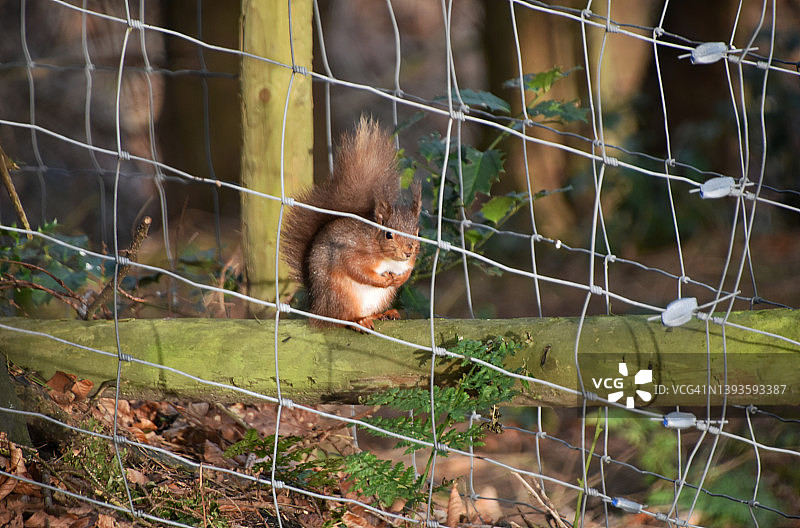 围起来的区域图片素材