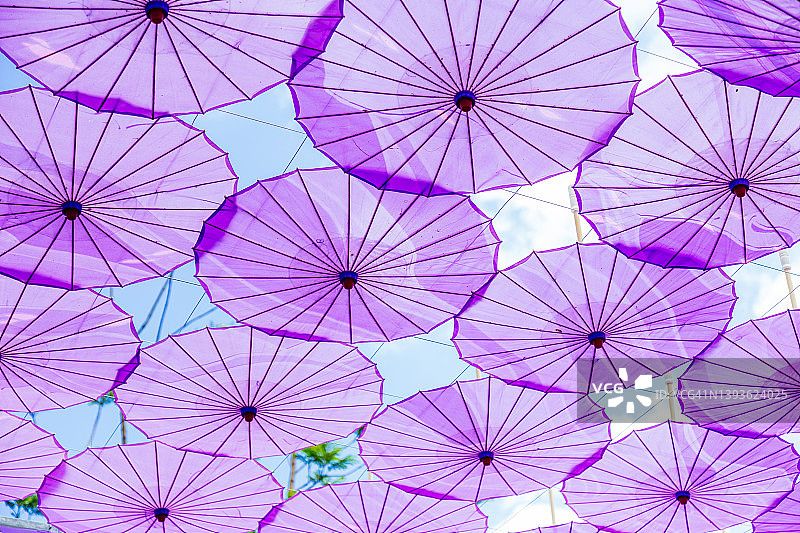 紫色雨伞图片素材