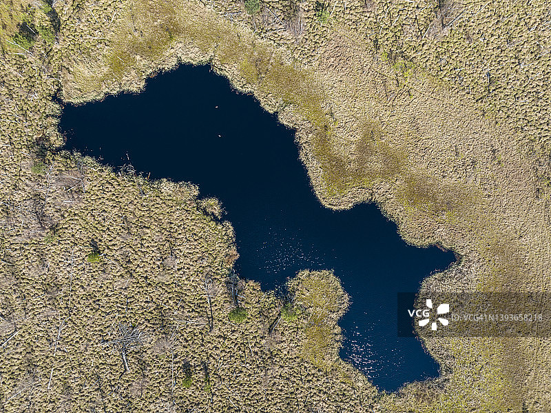 沼泽地区航拍鸟瞰图图片素材