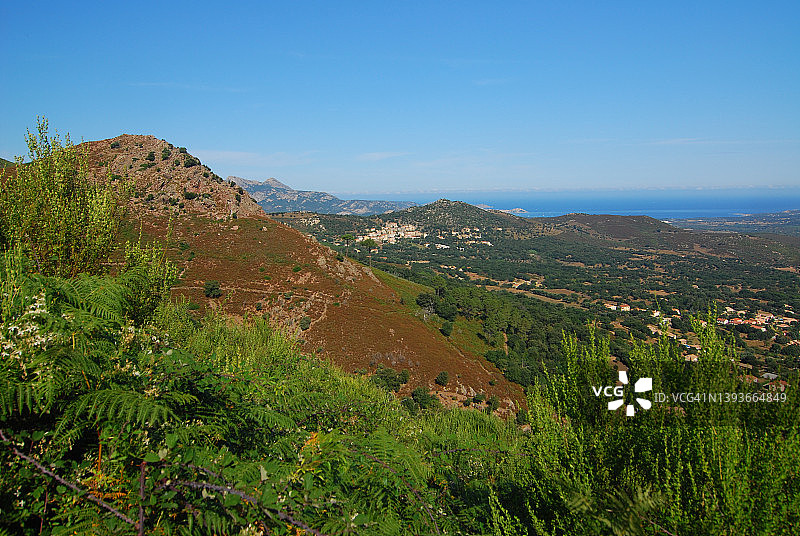 野生马基斯灌木丛中的地中海村庄图片素材