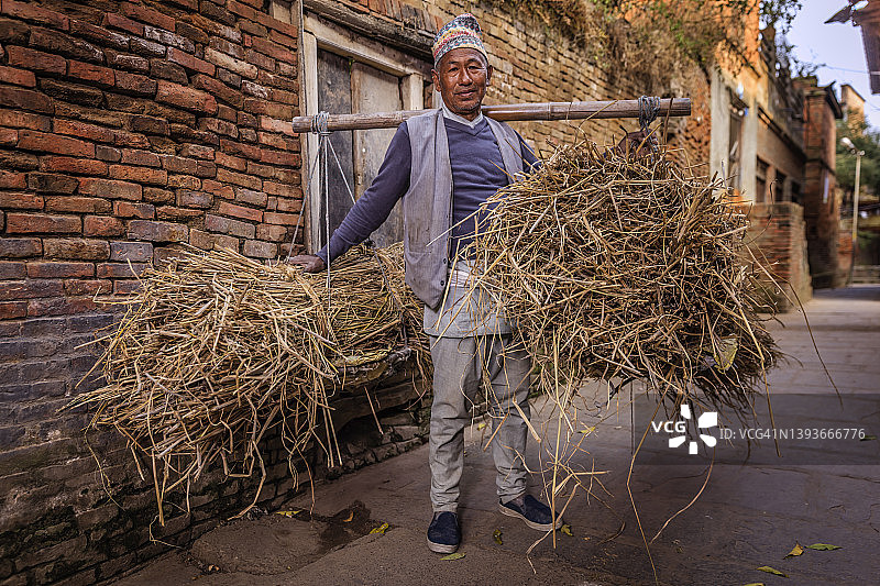 在巴克塔普尔，男人扛着一捆稻草图片素材