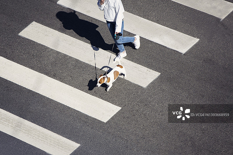 年轻女子带着她的狗过马路图片素材