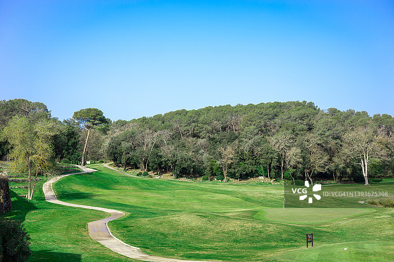森林环绕的高尔夫球场图片素材
