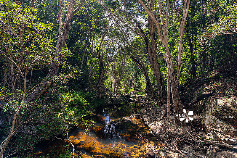巴伦峡谷国家公园的惊喜溪图片素材
