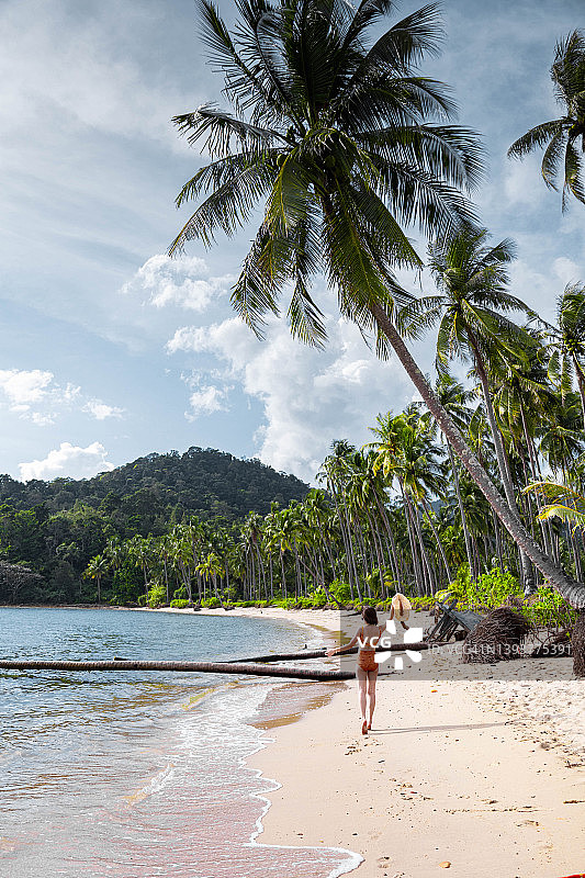 年轻女子站在泰国象岛的海边，眺望棕榈树图片素材