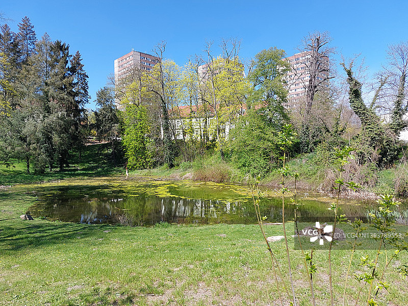 德国勃兰登堡州法兰克福（奥德）的伦内公园和池塘景观图片素材