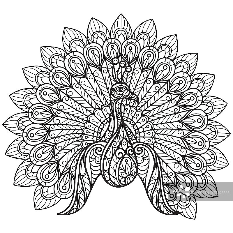 可爱的孔雀手绘成人涂色书图片素材