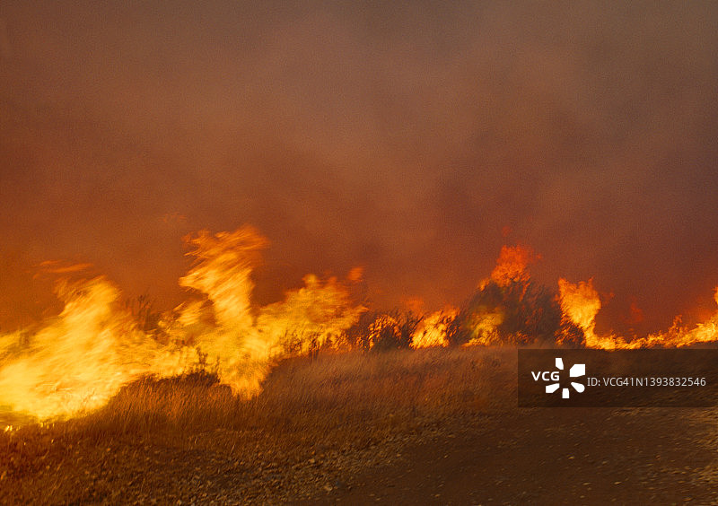 灌木火灾图片素材