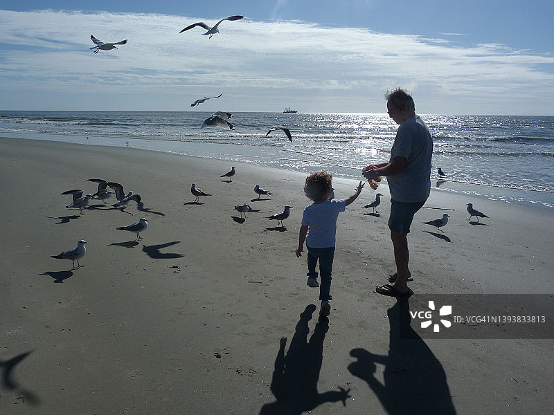爷爷和孙子在海滩上图片素材