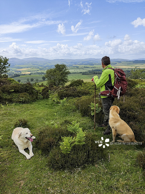 在英格兰东北部与爱犬徒步图片素材