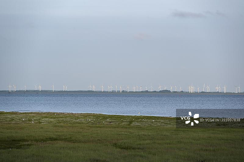 瓦登海风光：诺尔德代希附近的风力发电场，德国下萨克森州图片素材
