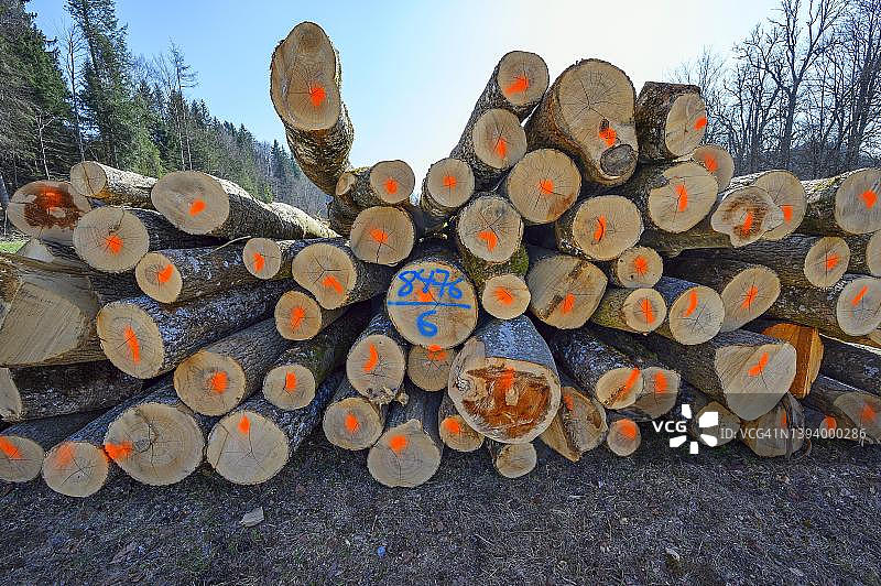 德国巴伐利亚州克罗伊茨塔尔的木堆和红色标记的树干图片素材
