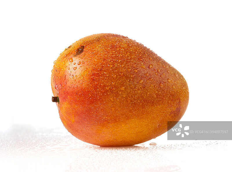 白色背景下的新鲜芒果图片素材