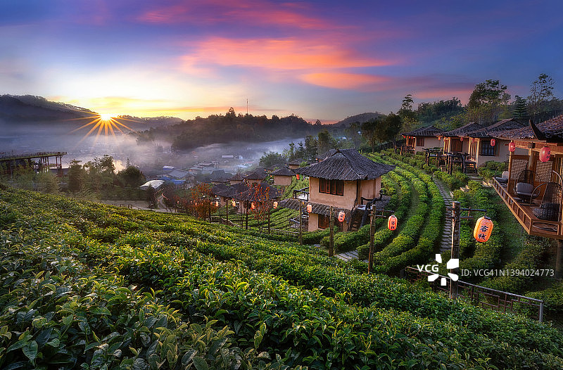 晨雾中的美丽阳光：泰国夜丰颂府的风景图片素材