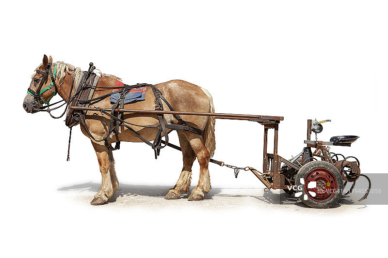 农用设备耕作马图片素材