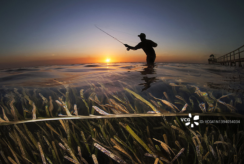 海草中飞蝇钓鱼的男人剪影图片素材