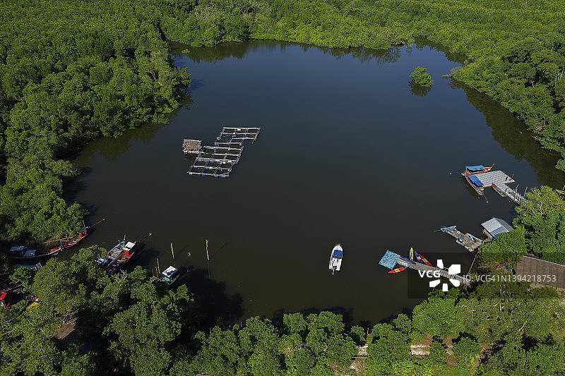 红树林中的村庄鸟瞰图片素材