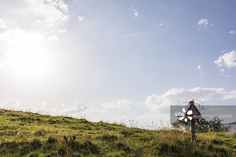 夏季牧场上提防蜱虫警示牌沐浴在阳光下图片素材