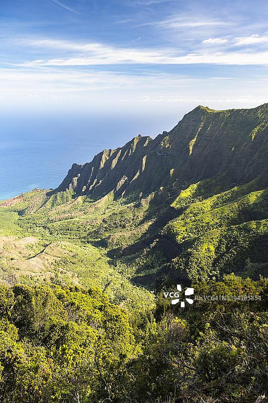 夏威夷考艾岛卡拉劳观景台眺望山谷图片素材