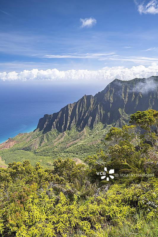 夏威夷考艾岛卡拉劳观景台眺望山谷图片素材