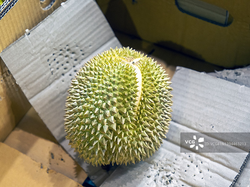 泰国榴莲图片素材