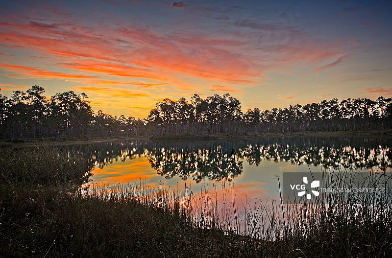南部湿地中色彩鲜艳的日出图片素材
