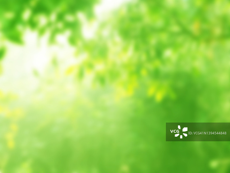 绿色树叶自然散景抽象模糊背景图片素材