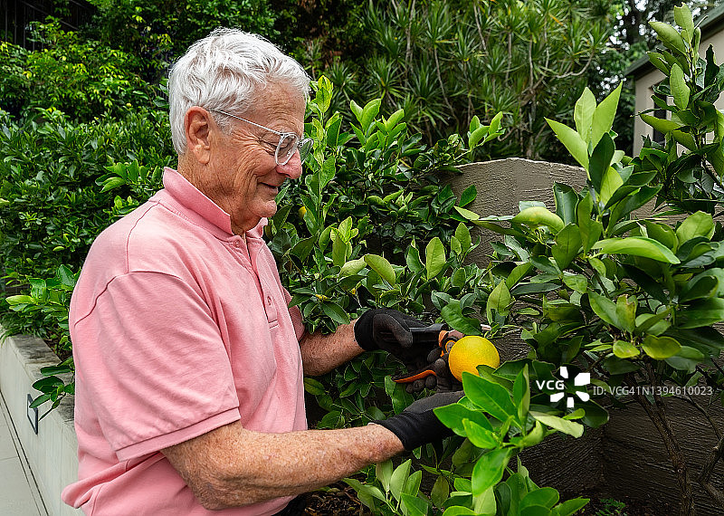 老年人享受日常生活图片素材