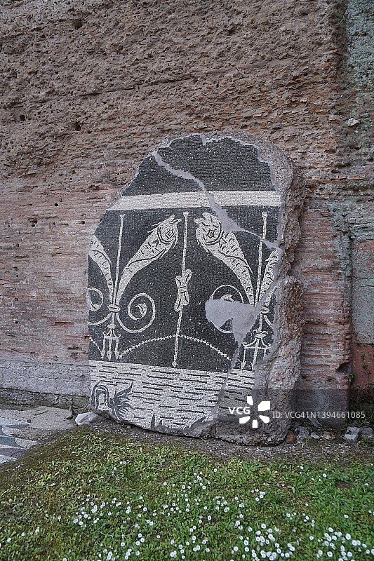 卡拉卡拉浴场，罗马，意大利的鱼马赛克细节图片素材