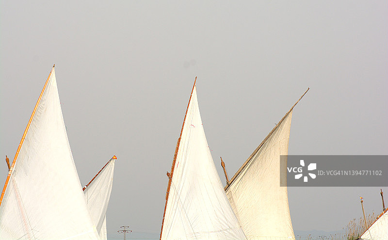 拉丁帆船比赛图片素材