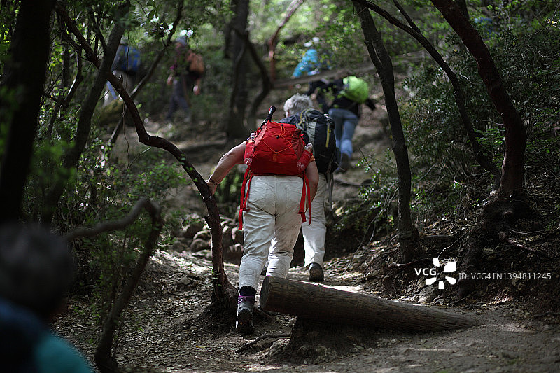 在卡梅尔山灌木丛中徒步旅行图片素材