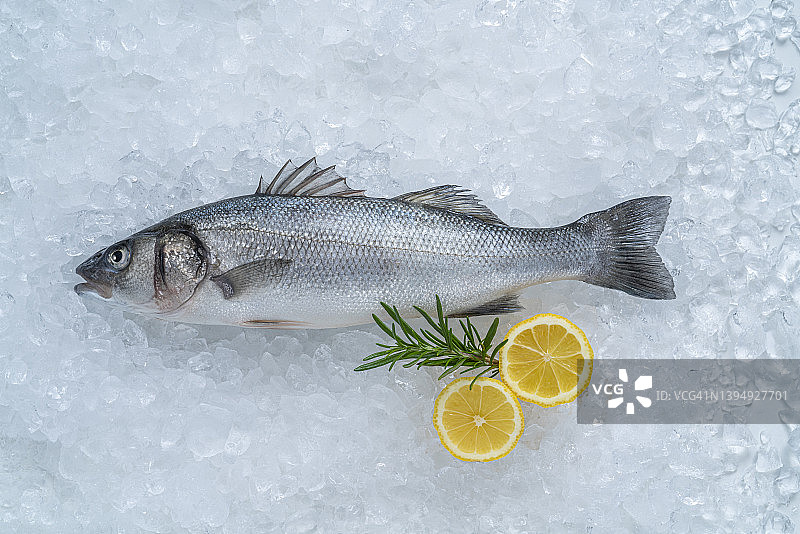 冰上新鲜海鲈鱼，配柠檬和迷迭香，留有复制空间图片素材
