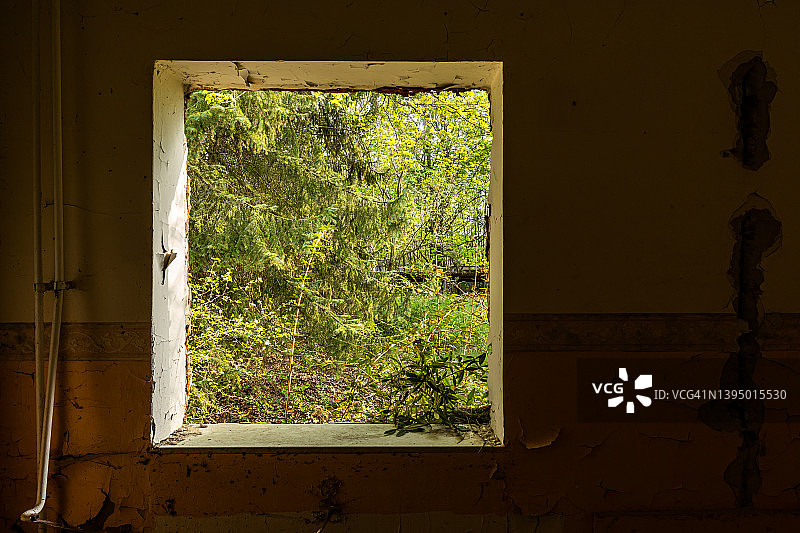 从废弃建筑的窗户向外看图片素材